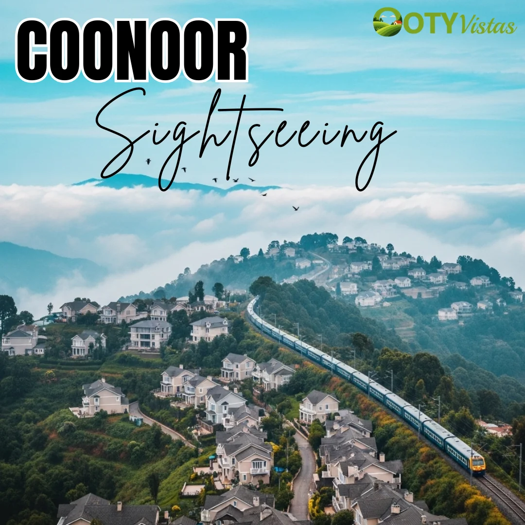 Ooty 3 Days Tour Packages