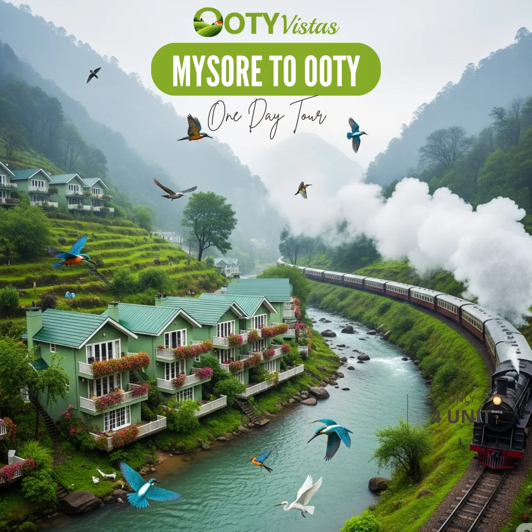 Mysore to Ooty Oneday Tour Package