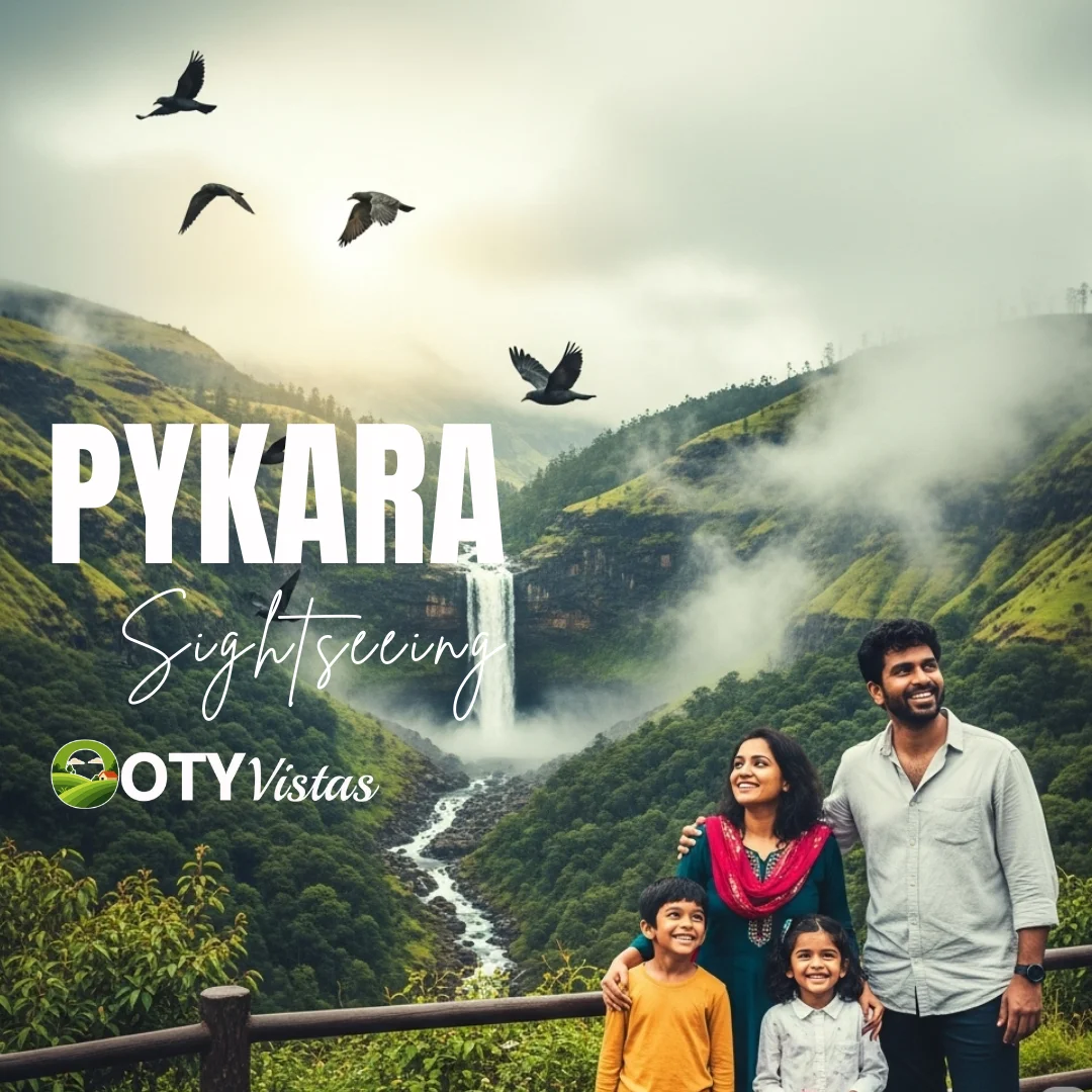 Mysore to Ooty Oneday Tour Package